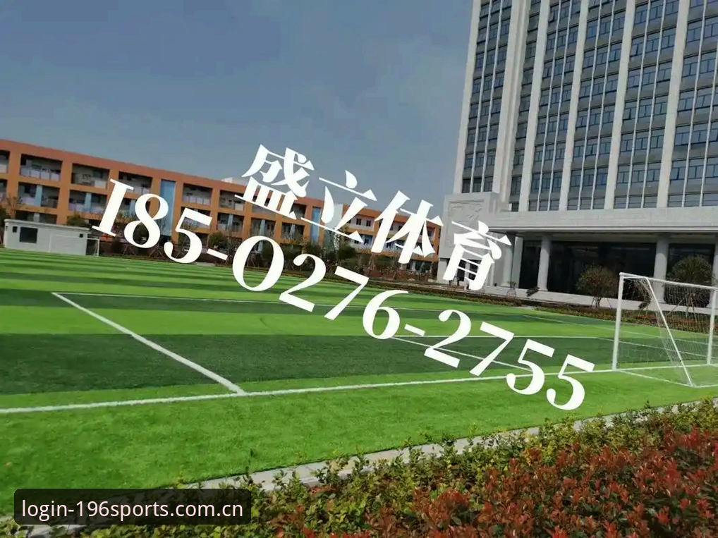 掌握196体育平台登录与使用的实用指南